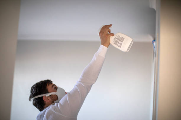 Best Mold Removal Process  in Steelville, MO